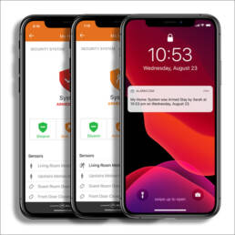 Basic Alarm Package